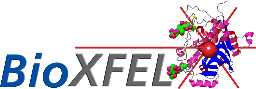 BioXFEL logo