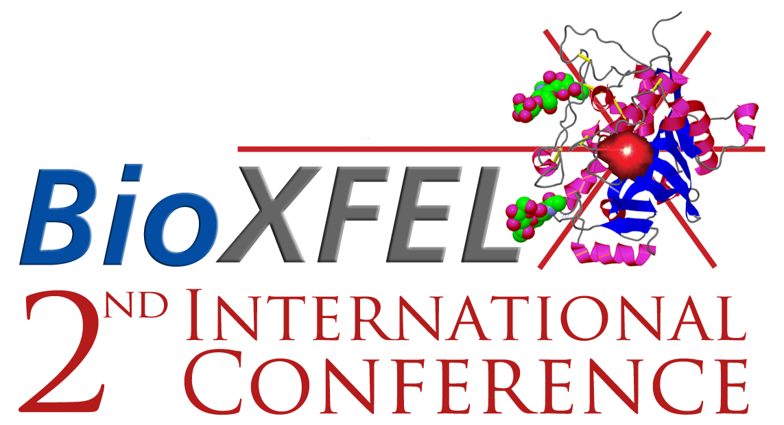 BioXFEL Conference Logo