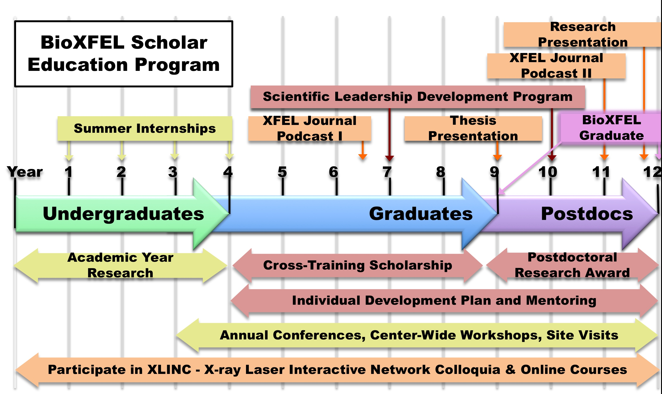 BioXFEL Education Timeline