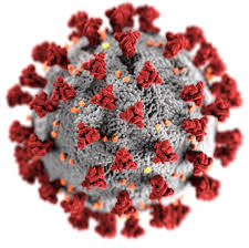 Virus graphic from CDC